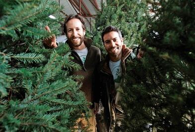 Siempre verde, da vida a navidad