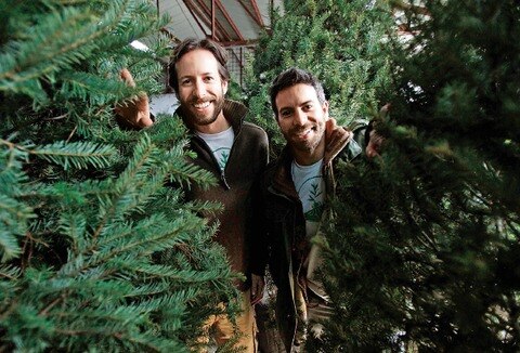 Siempre verde, da vida a navidad