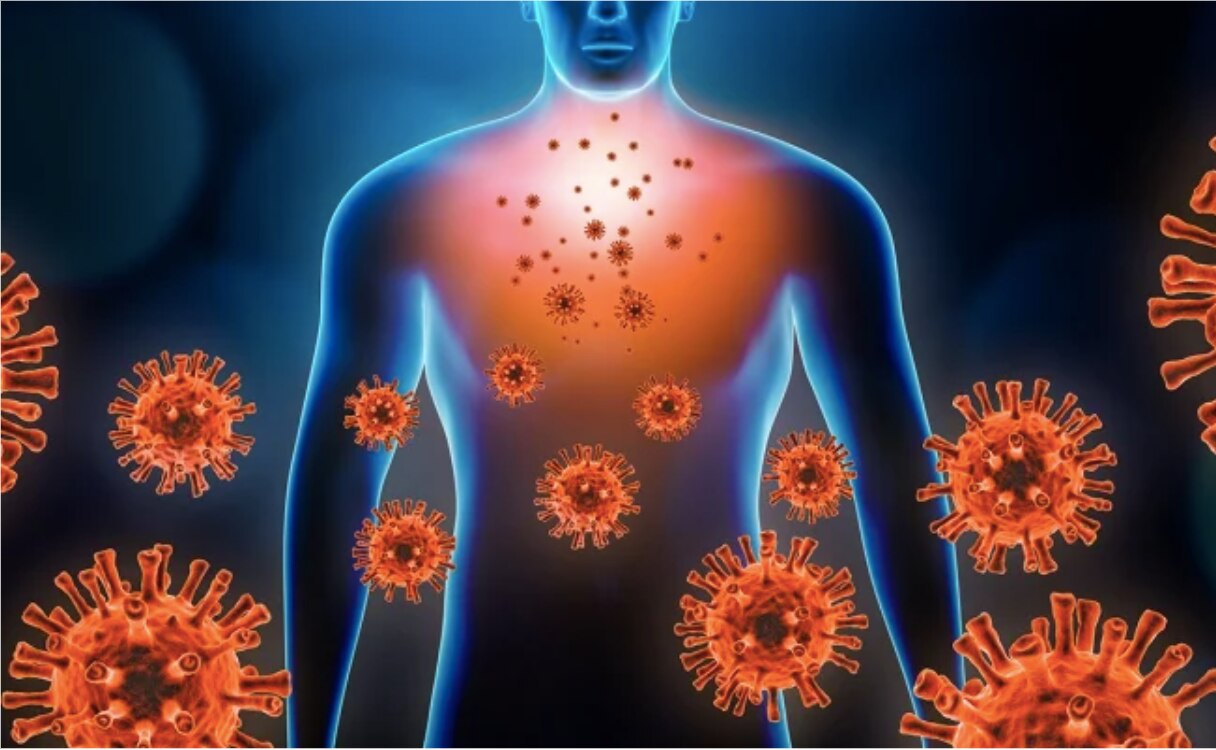Así destruye el Covid-19 al cuerpo humano