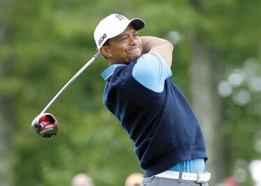 Tiger, el Jugador del año