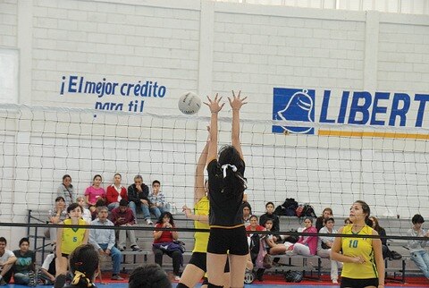 Hoy se juega la final del infantil de voleibol