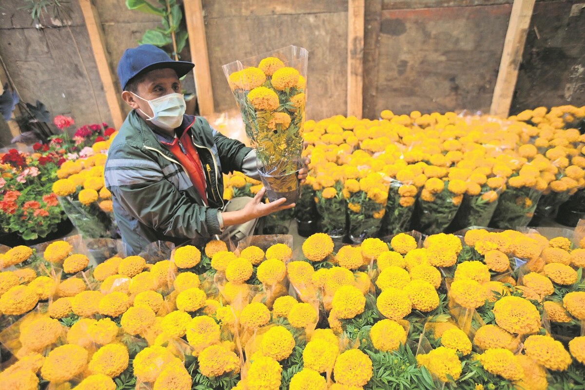 Día de Muertos "elevó levemente" los contagios de Covid-19 en Querétaro