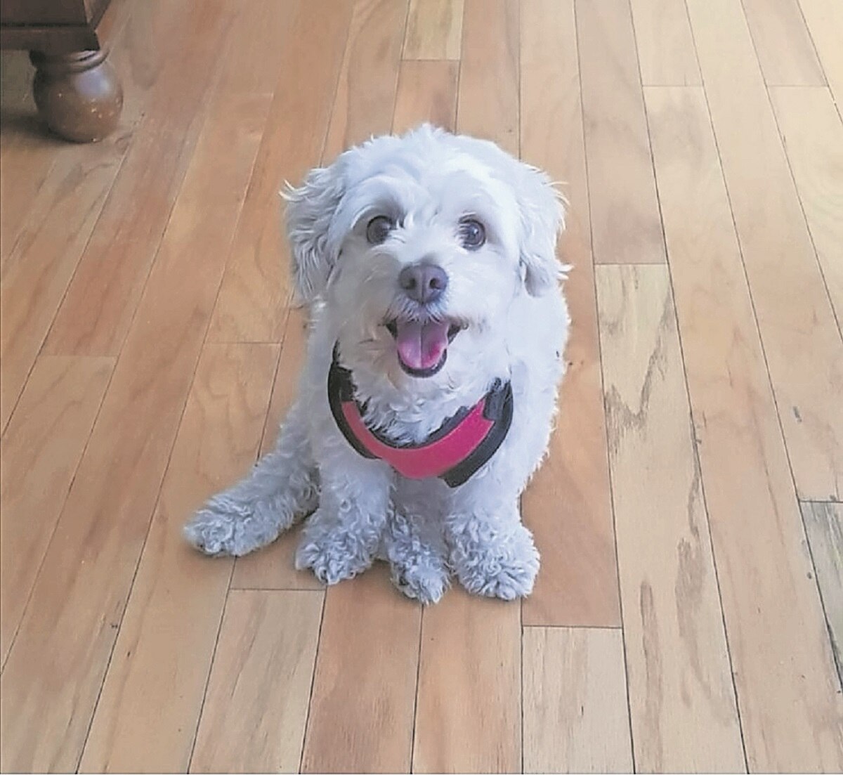 Foto: Ayari Velázquez