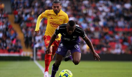 Gallos araña un puntito