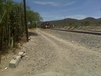 Muere la mujer que fue golpeada por el tren mientras se tomaba una selfie
