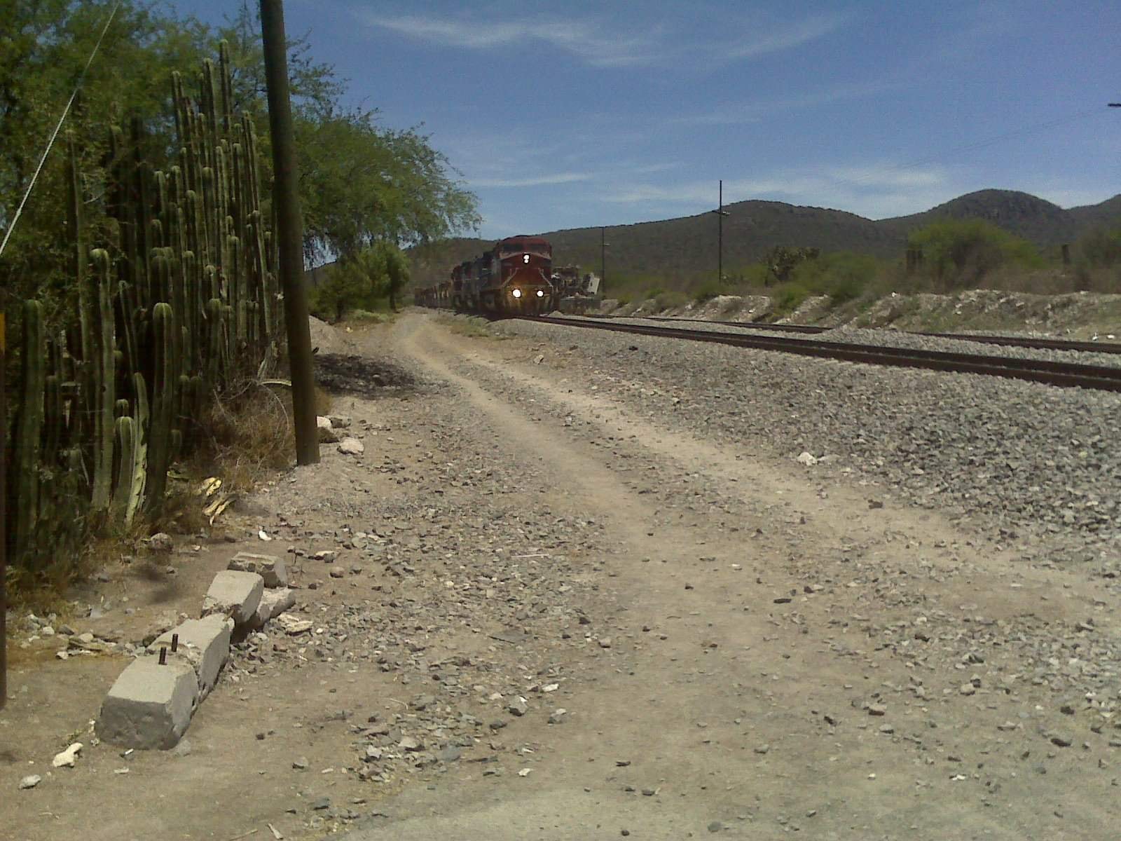 Foto: Facebook. De tequisquiapan para el mundo. Imagen ilustrativa