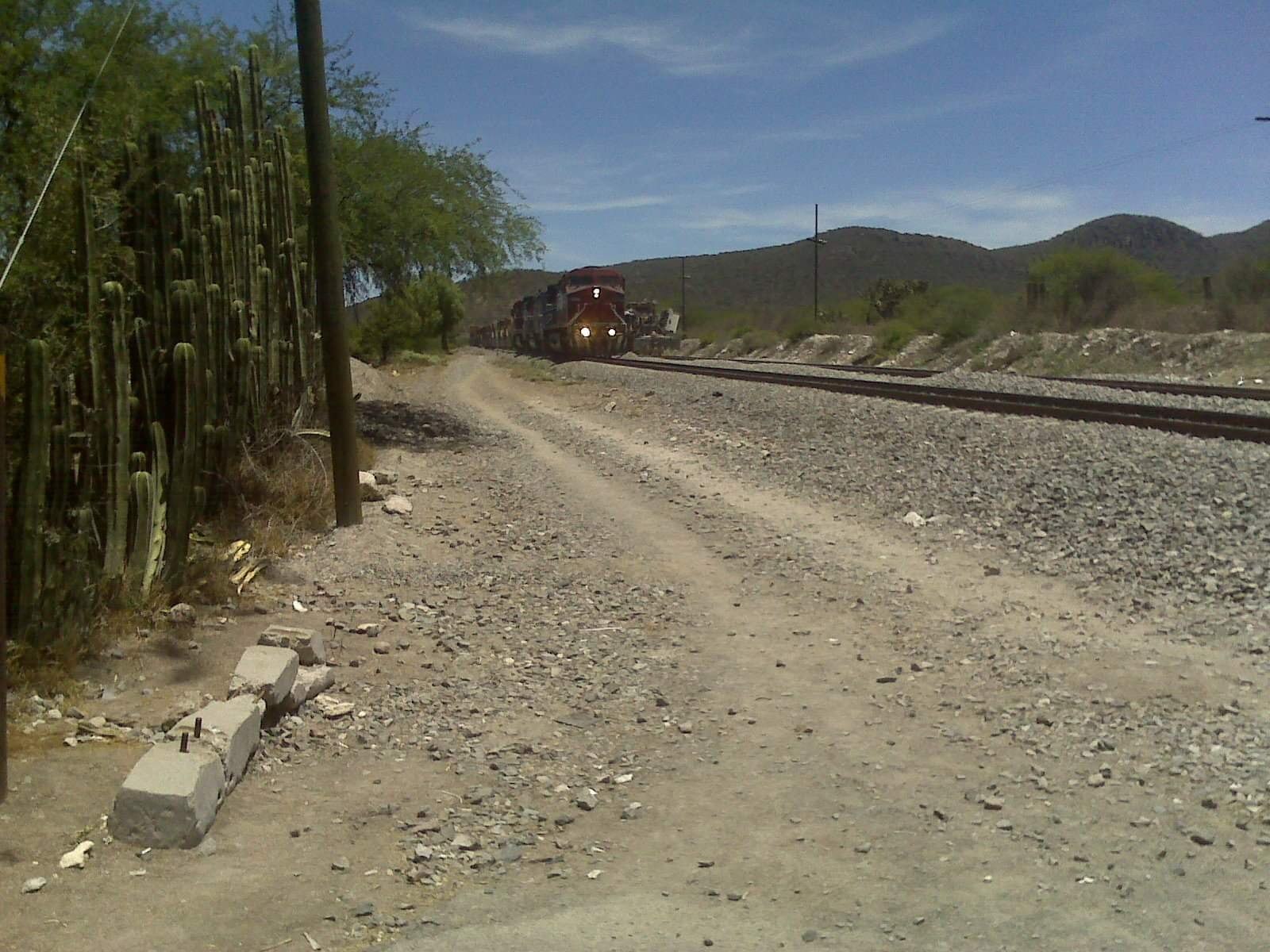 Muere la mujer que fue golpeada por el tren mientras se tomaba una selfie