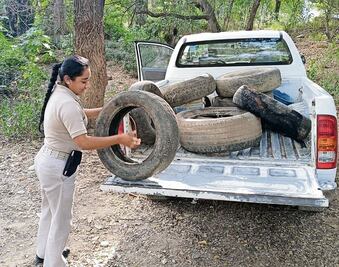 Acumula Querétaro 20 casos de dengue