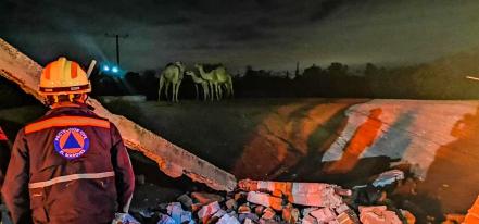 Un tráiler choca y derriba la barda del zoológico Wameru, en Querétaro