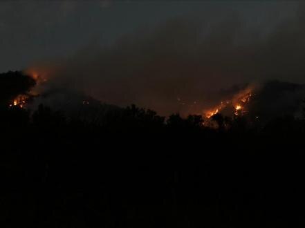 Fuego arrasa con 51 hectáreas de cerro en Huimilpan  