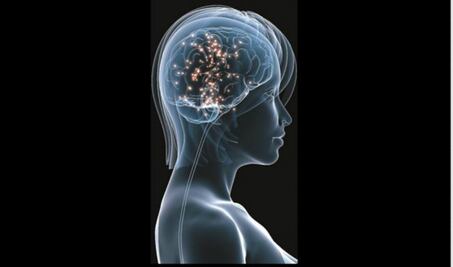 Conoce las diferencias cerebrales entre psicópatas y personas sanas