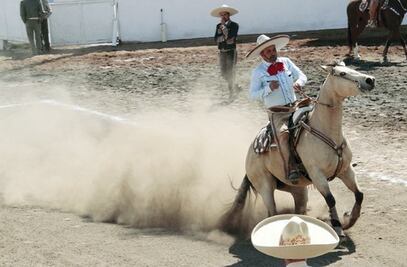 Charrería no explota a caballos: PVEM
