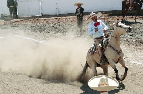 Charrería no explota a caballos: PVEM