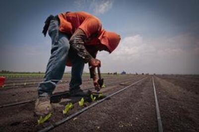 Del campo queretano al mundo