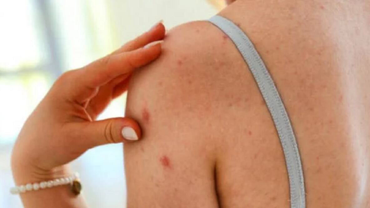 Foto: Archivo. El Universal