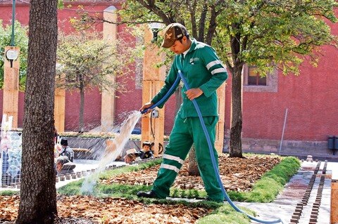 Hacen de la jardinería su sustento