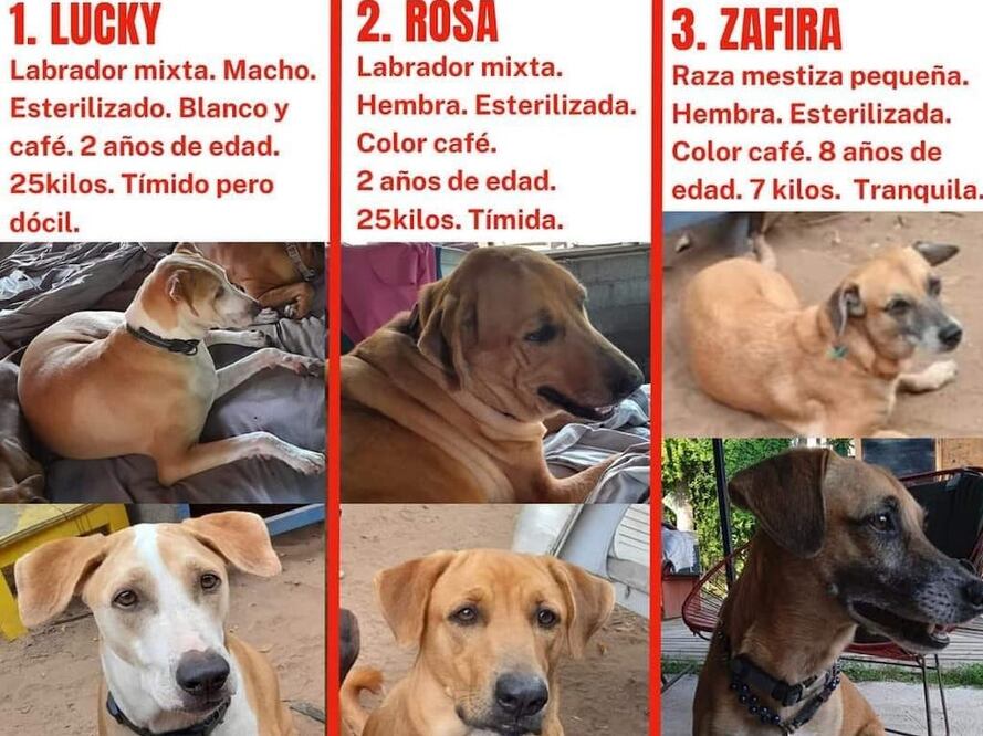 Foto: Redes sociales