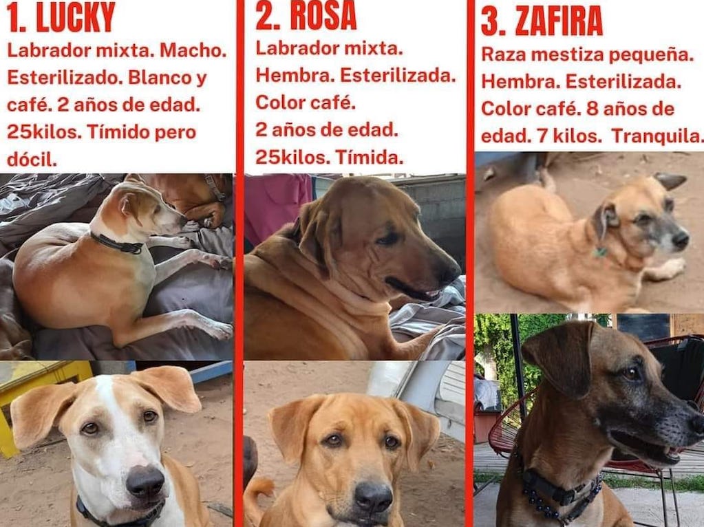 Foto: Redes sociales