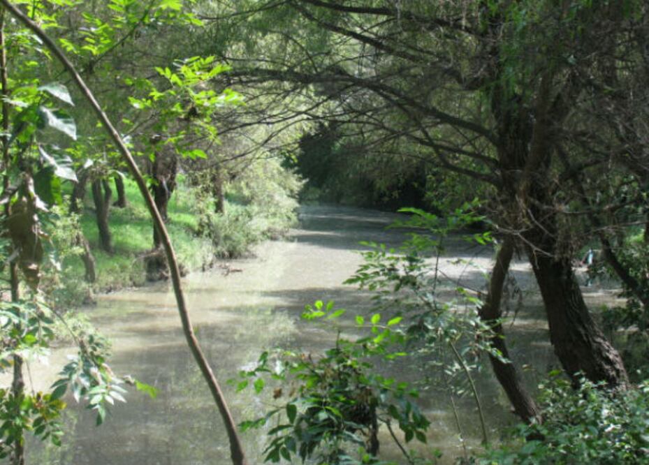Destinarán 1  mdp para Río San Juan