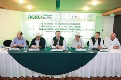 Agroasemex ve área de oportunidad 