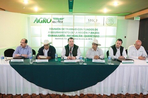 Agroasemex ve área de oportunidad