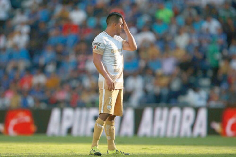 Pierden filo sus garras