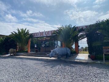 Vinculan a proceso al tercer implicado en el robo al zoológico Wamerú