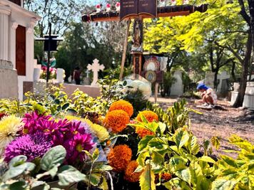 En Corregidora, planean bajar ocupación de panteones; están al 85% de su capacidad