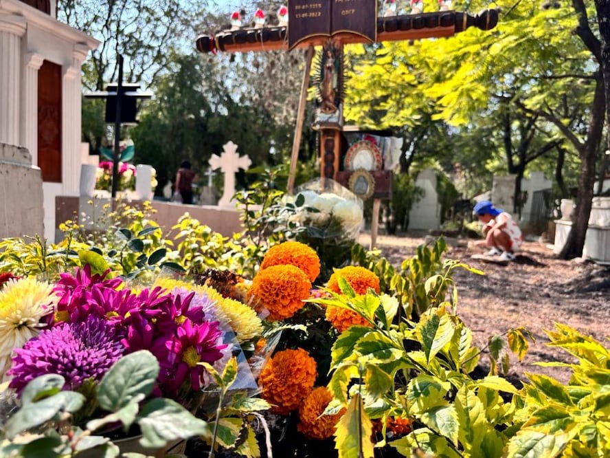 Foto: Demian Chávez