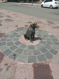 La "estatua del perrito". Querétaro tuvo un "Hachiko" que esperó a su dueño por años