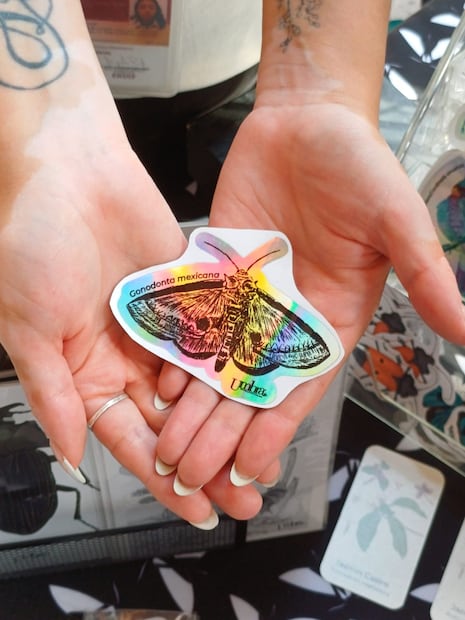 FOTO. ROCÍO G. BENÍTEZ