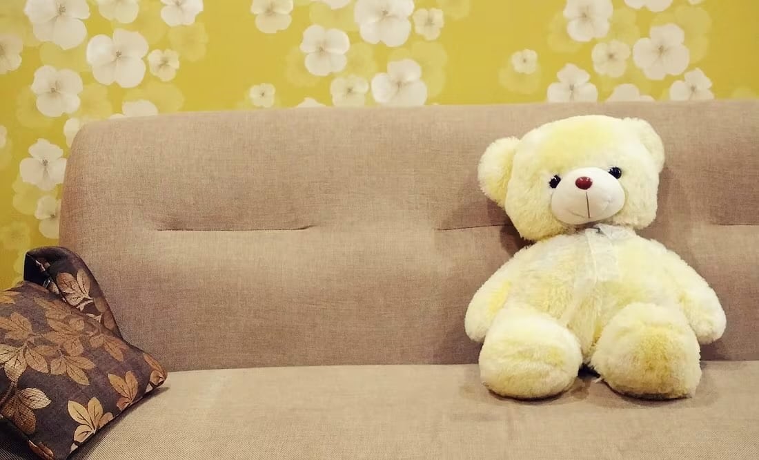 La niña, cuyo nombre no se dio a conocer para proteger su identidad, recibe nutrición intravenosa a través de una mochila que carga en la espalda. Foto: Pixabay