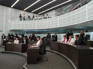 María del Carmen Zúñiga encabezará Mesa Directiva