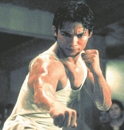 Artes marciales y ¡mucha acción!