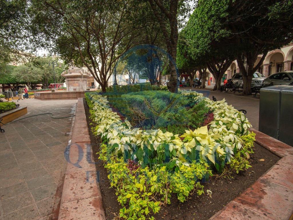 FOTO. FERNANDO CAMACHO