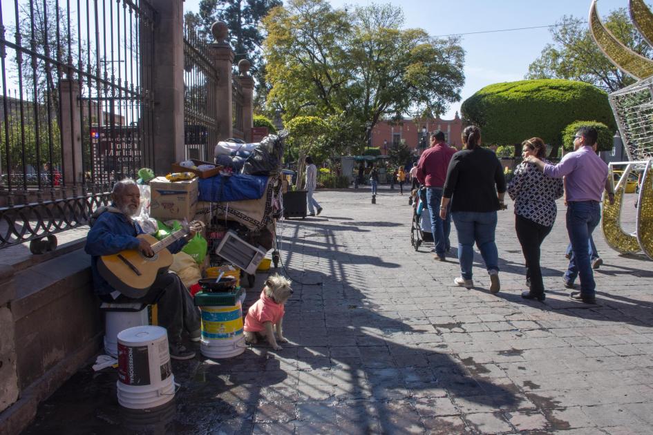 Ringo y Carlos, acompañantes de vida en la calle 