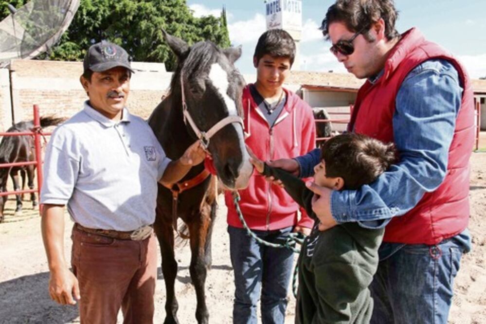 Caballos, una opción para curar malestares 