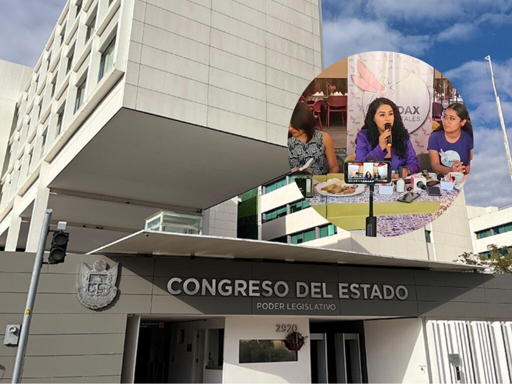 Adax Digitales denuncia parálisis legislativa en iniciativas por los derechos de las mujeres