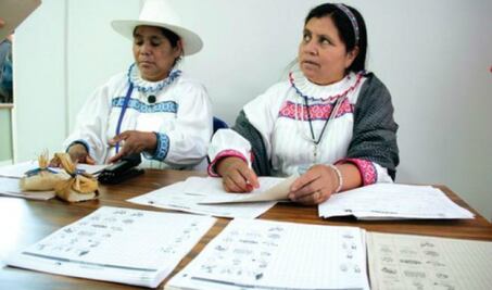 Busca INEA preservar lenguas indígenas