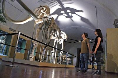 El éxito de ‘Ancestros  de Piedra’ 