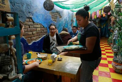 La Biznaga: un hábitat sui generis para amantes del café