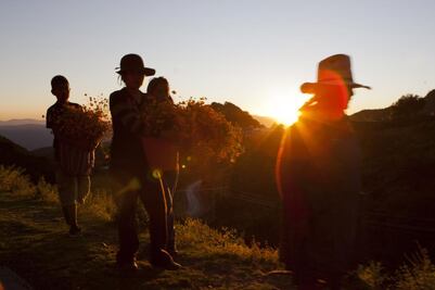 Sierra Gorda queretana