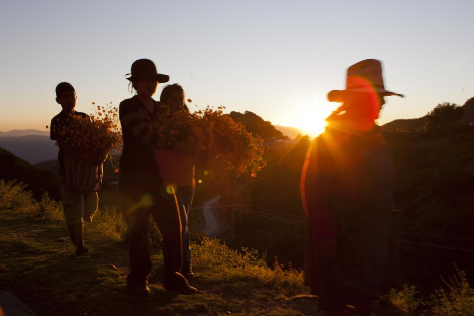 Sierra Gorda queretana
