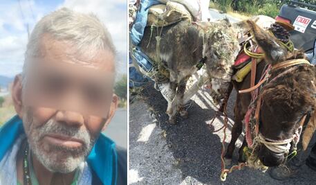 En Santa Rosa Jáuregui, POES detiene a hombre por maltrato animal