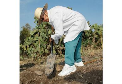 Reforestan ciudadanos La Ermita