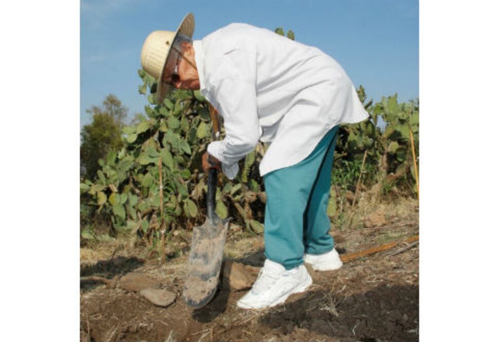 Reforestan ciudadanos La Ermita