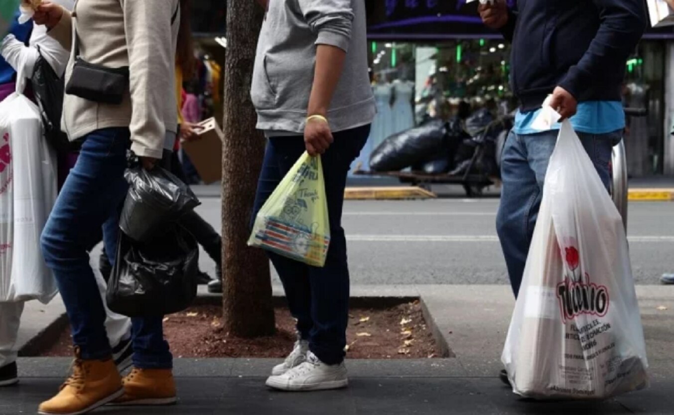 ¿Qué problemas genera la prohibición de bolsas de plástico?