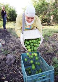 Prevén estabilidad en productos del agro