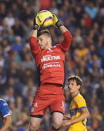 Sería cobarde culpar a Tena: Volpi