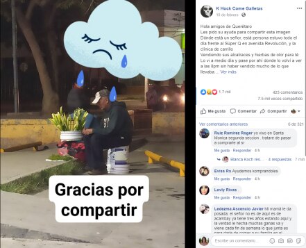 Convocan a usuarios para comprar flores a abuelito comerciante